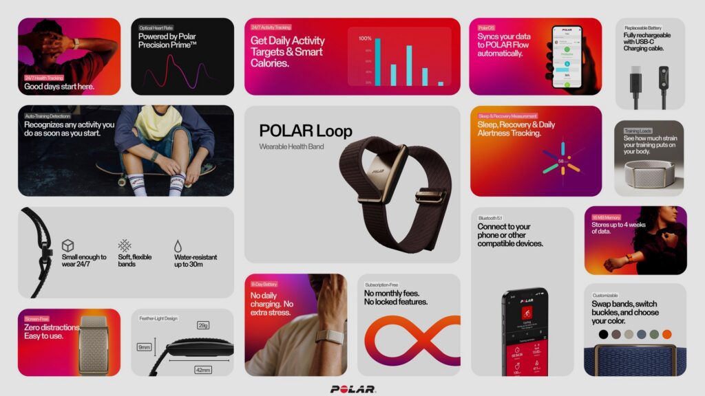 polar-loop-ecology