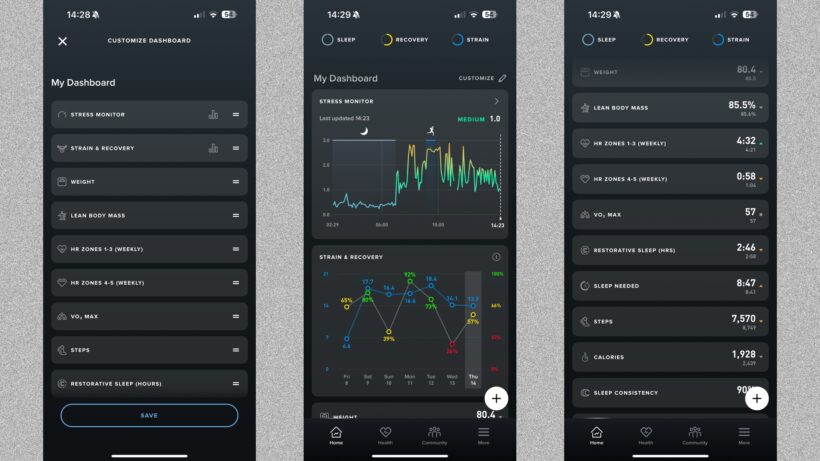 whoop dashboard